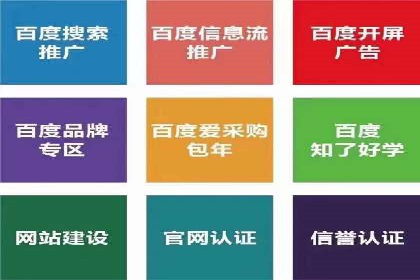 成功sem公司的策略与执行